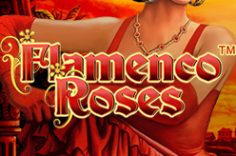 Play Flamenco Roses slot at Pin Up